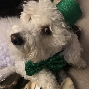 Fundraising Page: Freddy Herbert